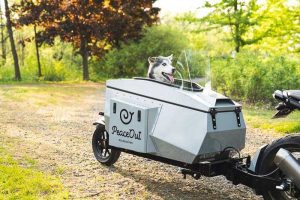 Motorcycle trailer dog carrier - Remorque pour moto